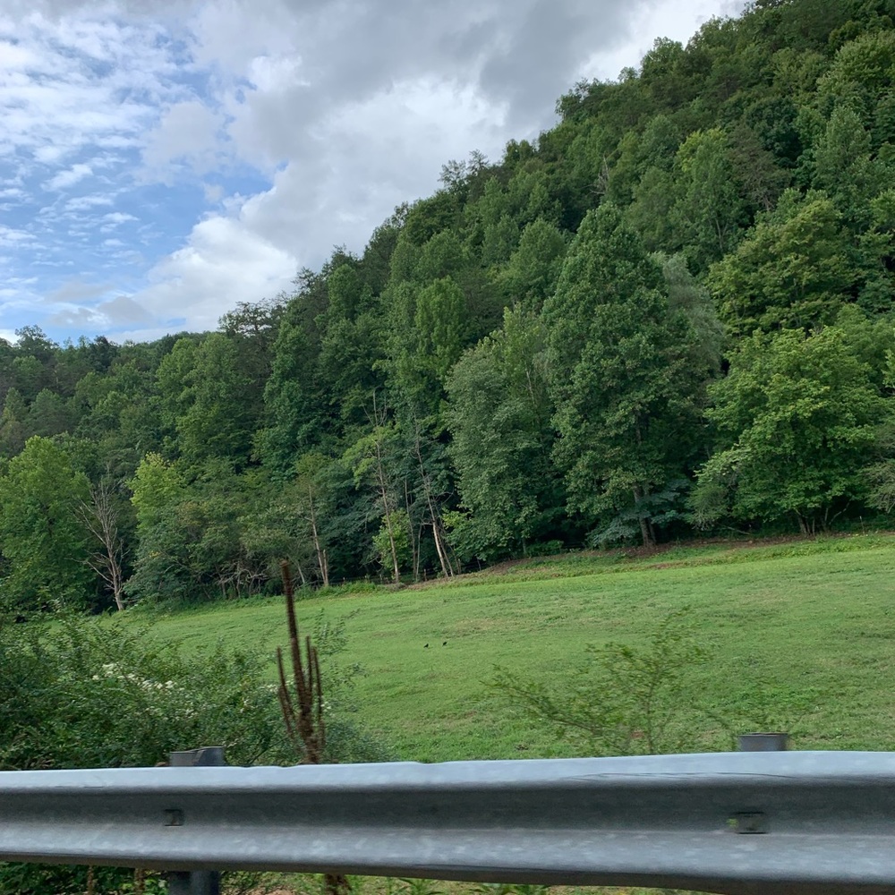 Meet your Posher, Saniora